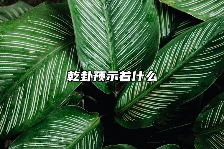 乾卦预示着什么 乾卦象征着天