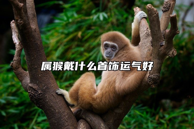 属猴戴什么首饰运气好 属猴戴什么首饰运气好23年