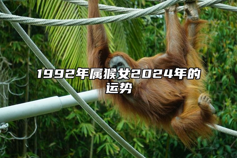 1992年属猴女2024年的运势 1992年属猴女2024年的运势及运程