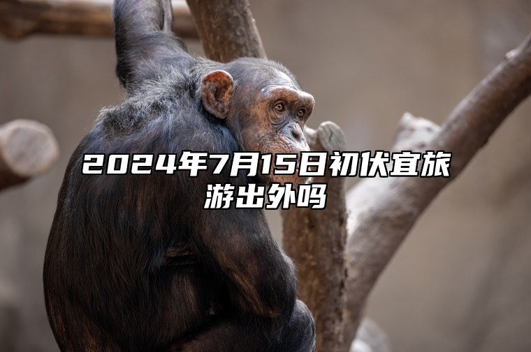 2024年7月15日初伏宜旅游出外吗 是出行上等吉日吗