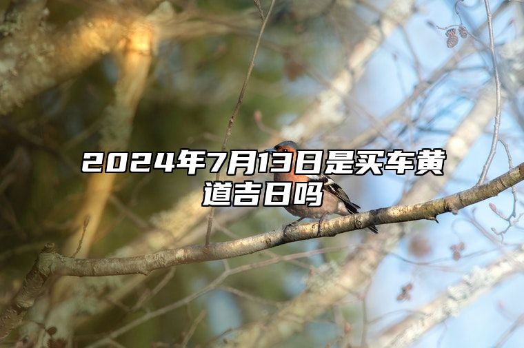 2024年7月13日是买车黄道吉日吗 本月好日子一览表