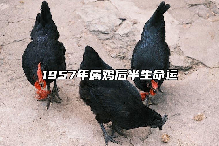 1957年属鸡后半生命运 1957年属鸡临终寿命多大