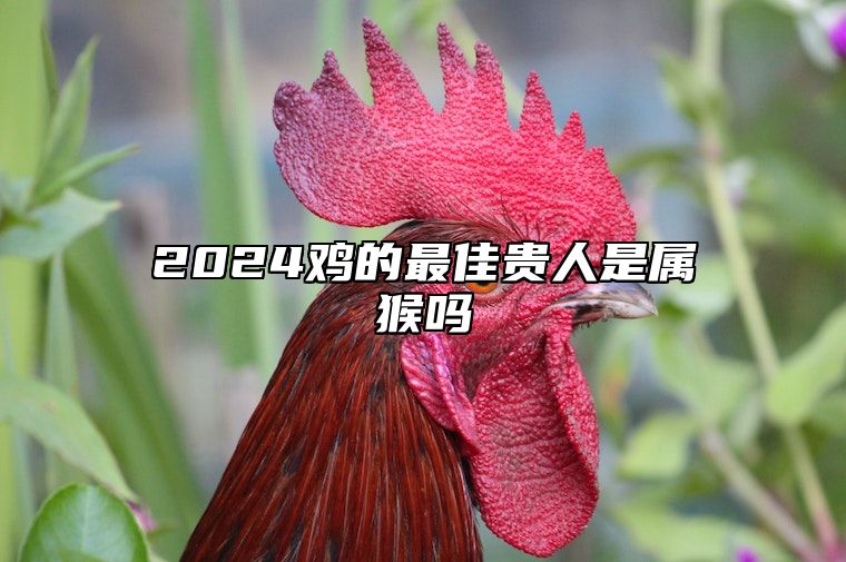 2024鸡的最佳贵人是属猴吗 属鸡2024年运势及运程详解