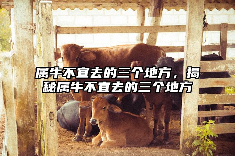 属牛不宜去的三个地方，揭秘属牛不宜去的三个地方 属牛的人适合去南方吗