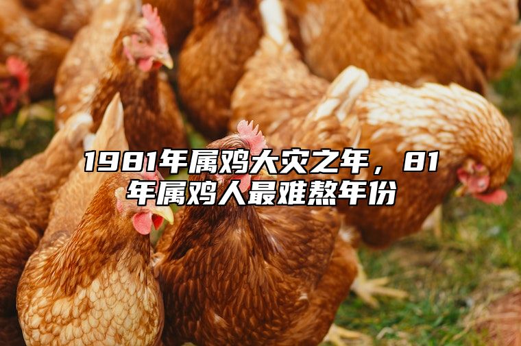 1981年属鸡大灾之年，81年属鸡人最难熬年份 81年属鸡有三大难