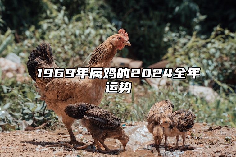 1969年属鸡的2024全年运势 1969年属鸡的2024全年运势方位