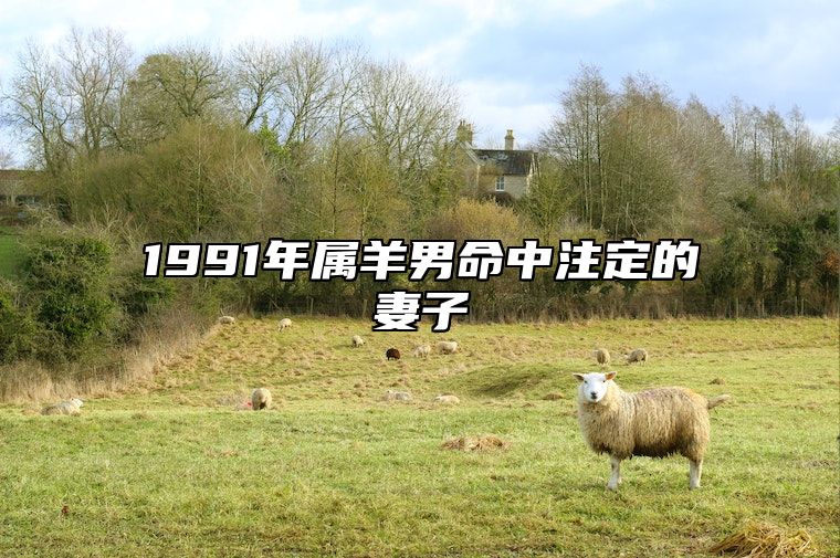 1991年属羊男命中注定的妻子 几月的羊最有福气