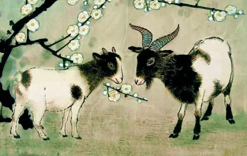 1991年属什么