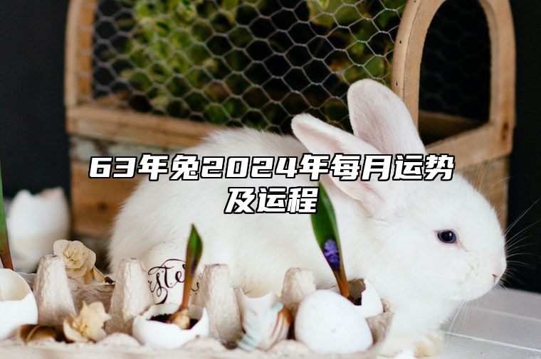63年兔2024年每月运势及运程 87年兔2024年运势及运程