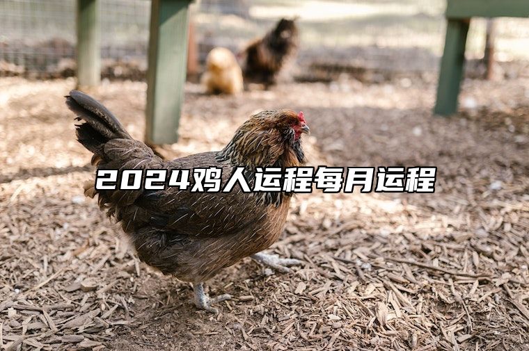 2024鸡人运程每月运程 2024属鸡的运势和财运