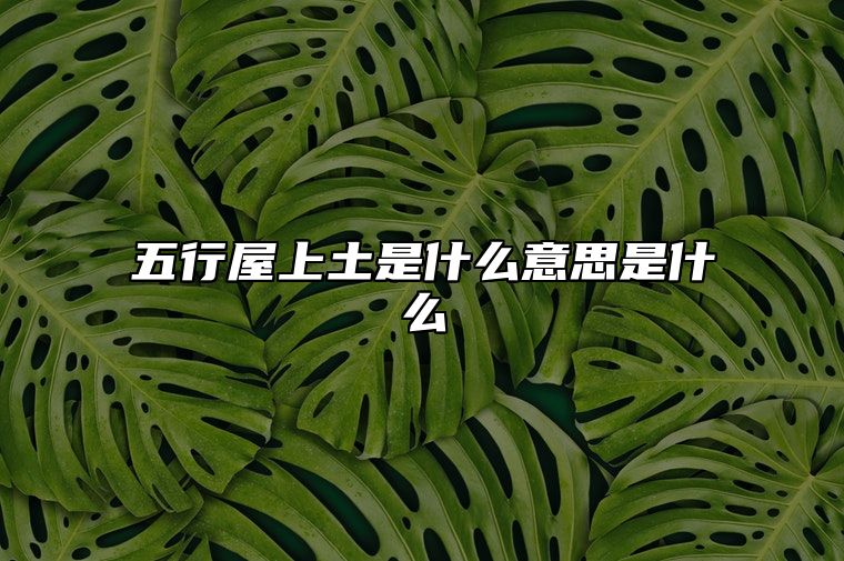 五行屋上土是什么意思是什么 屋上土命适合什么行业