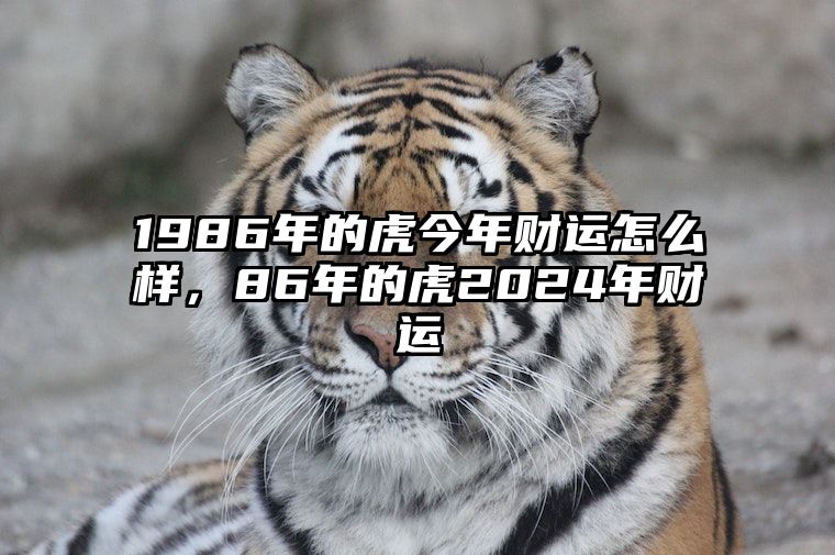 1986年的虎今年财运怎么样，86年的虎2024年财运 86年属虎的人2024年的运势及运程