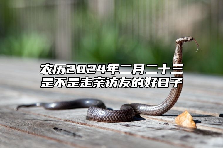 农历2024年二月二十三是不是走亲访友的好日子？