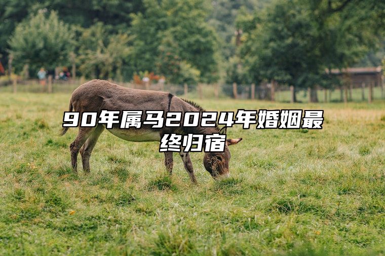 90年属马2024年婚姻最终归宿 90年属马的人婚姻如何