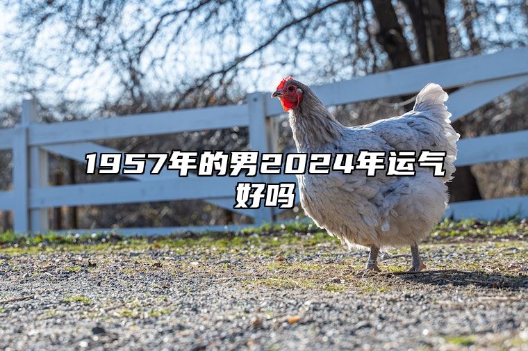 1957年的男2024年运气好吗 2024属鸡的要躲着谁