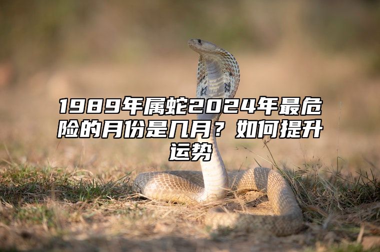 1989年属蛇2024年最危险的月份是几月？如何提升运势 属蛇的在2024年的运势好不好呢