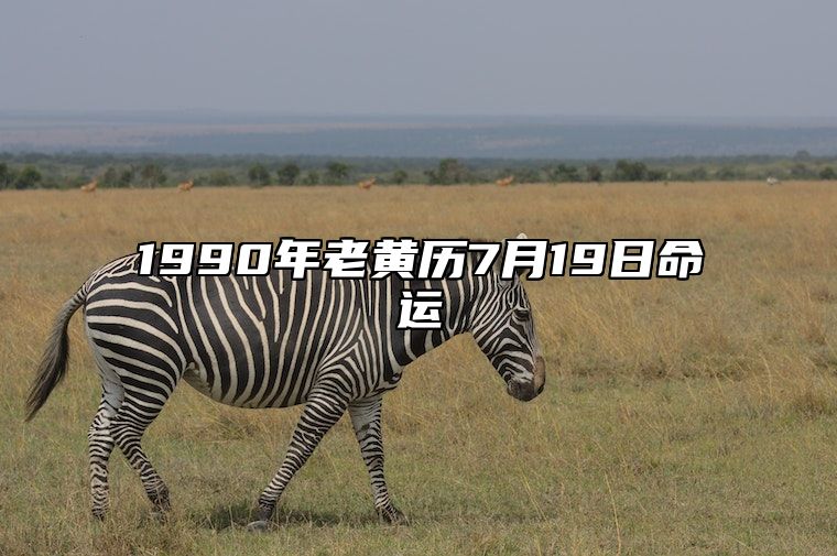 1990年老黄历7月19日命运 1990年阳历7月19日