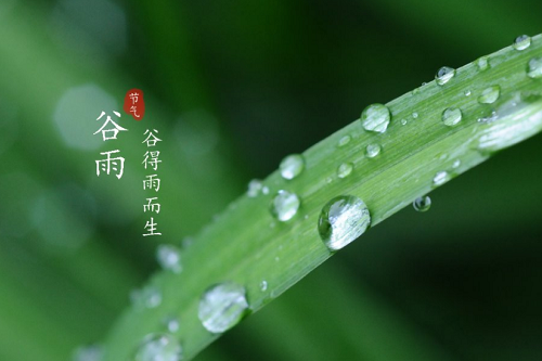 谷雨的含义