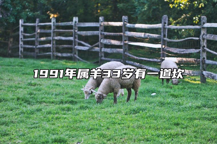 1991年属羊33岁有一道坎 91年羊女2024年运势如何