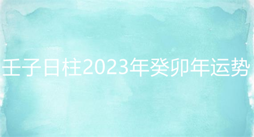 壬子日柱2023年癸卯年运势 壬子日柱走什么大运好