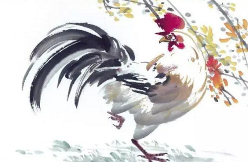 属鸡人一生的劫难