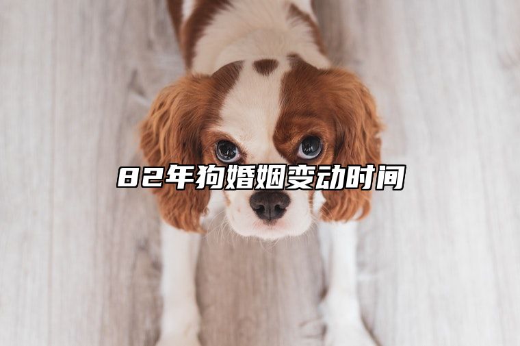 82年狗婚姻变动时间 82年狗2024年必有一难