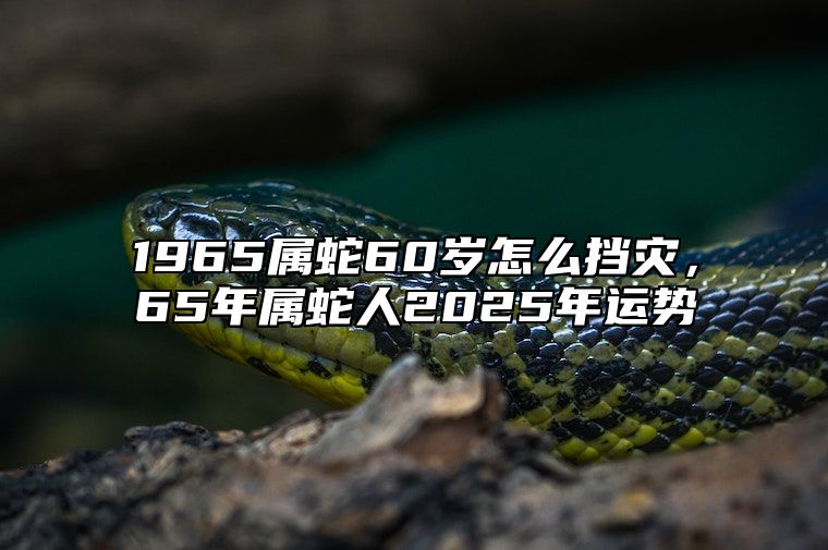 1965属蛇60岁怎么挡灾，65年属蛇人2025年运势 