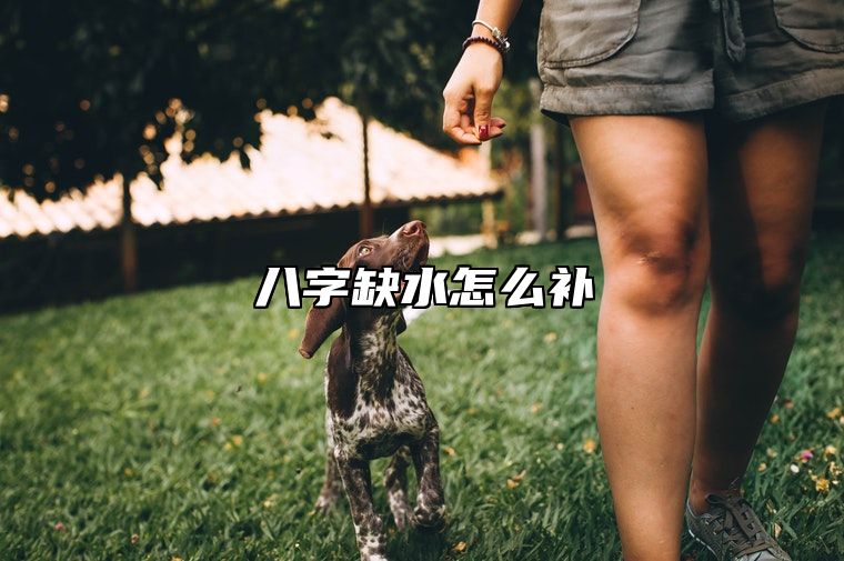 八字缺水怎么补 八字缺水的人的性格