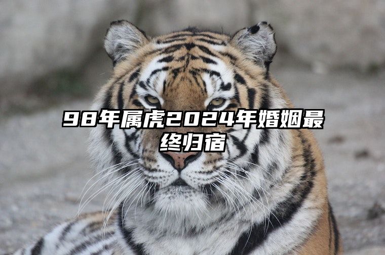 98年属虎2024年婚姻最终归宿 98虎男2024年桃花运如何