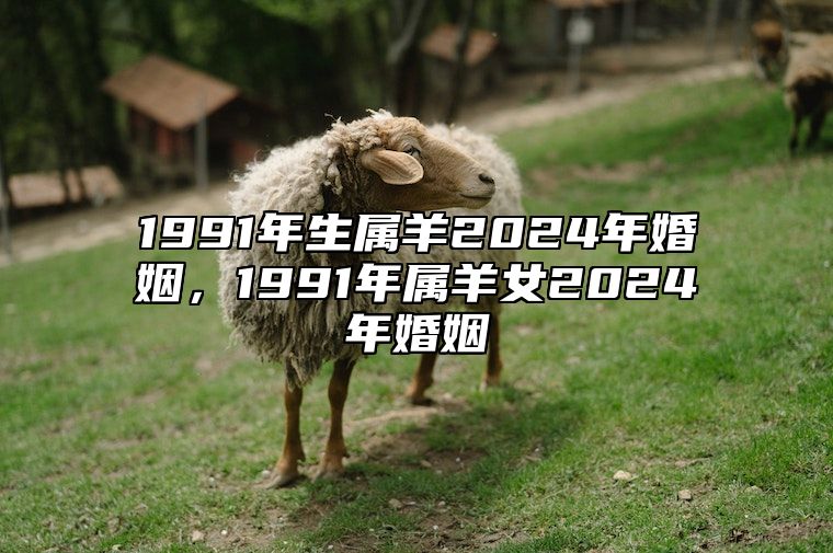 1991年生属羊2024年婚姻，1991年属羊女2024年婚姻 1991年的羊在2024年怎么样