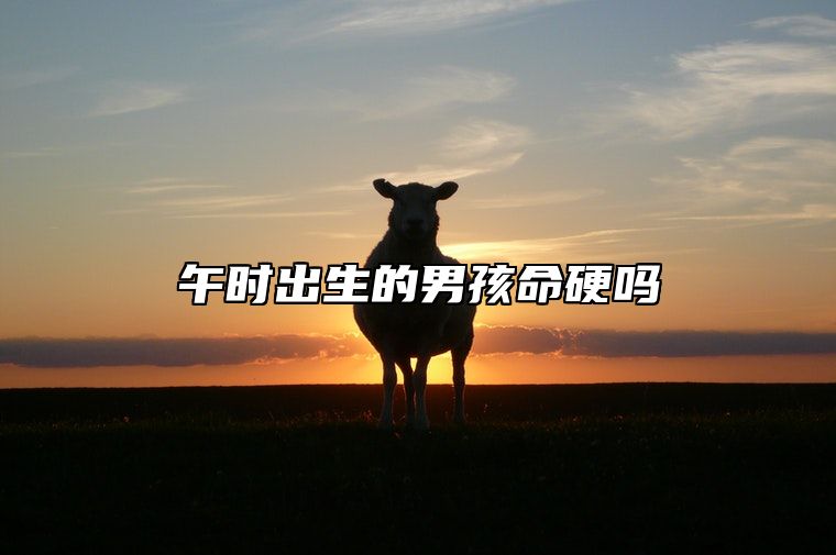 午时出生的男孩命硬吗 午时出生的女孩命运