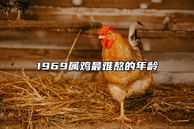 1969属鸡最难熬的年龄 69年属鸡55岁三大坎坷