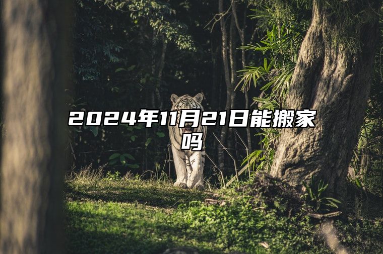 2024年11月21日能搬家吗 是吉日吗