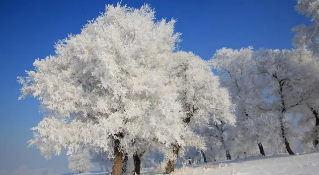 女人梦见自己扫雪预示什么意思 梦见女人扫雪什么意思