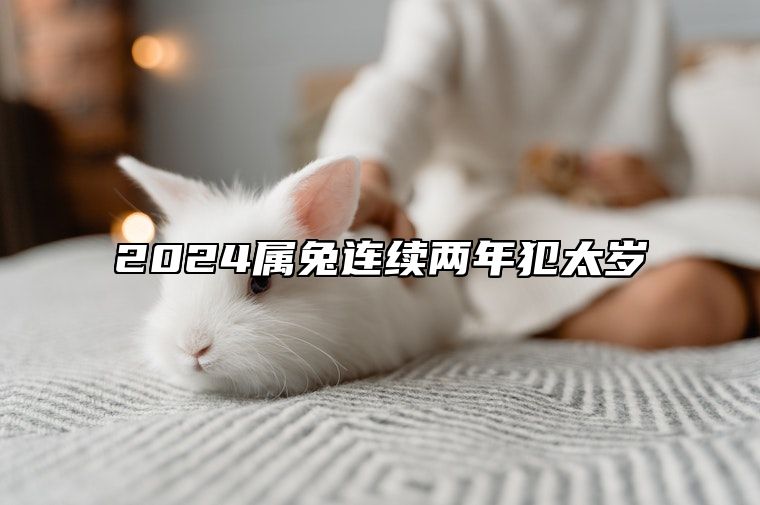 2024属兔连续两年犯太岁 2024年兔的贵人是谁
