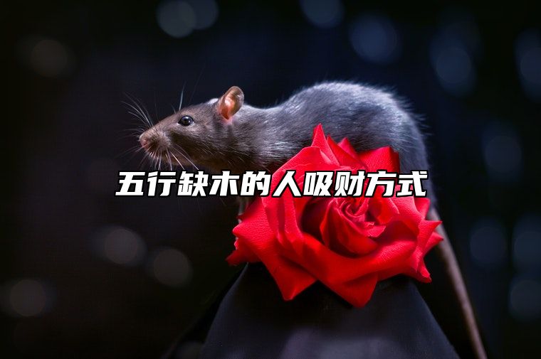 五行缺木的人吸财方式 佩戴木制品