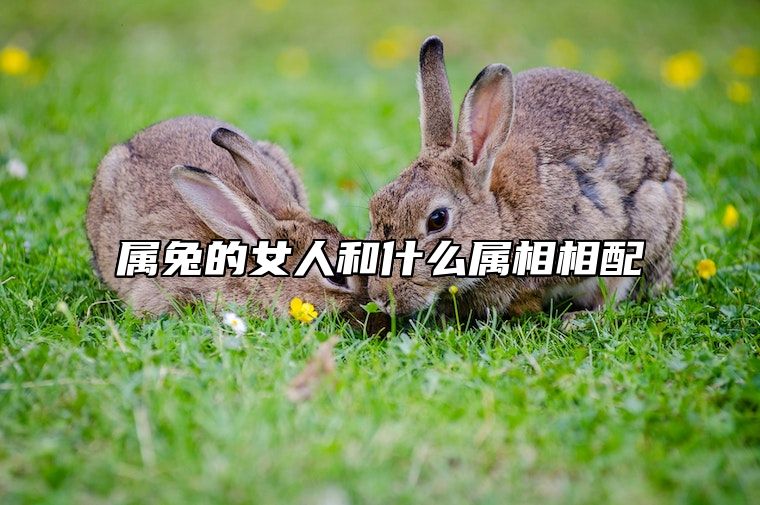 属兔的女人和什么属相相配 属兔的女人和什么属相不相配