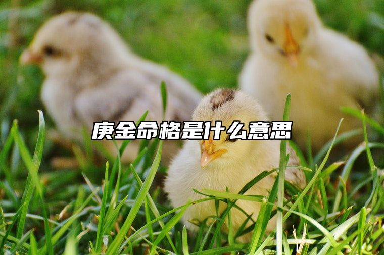 庚金命格是什么意思 独当一面待人忠诚