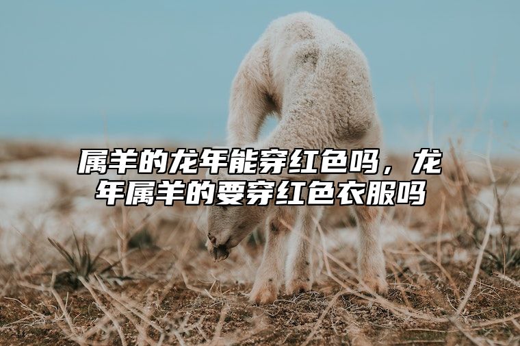 属羊的龙年能穿红色吗，龙年属羊的要穿红色衣服吗 属羊的人可以带龙的吊坠吗?