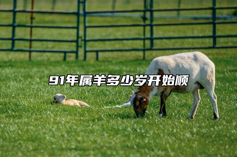 91年属羊多少岁开始顺 1991年是苦命羊还是富羊