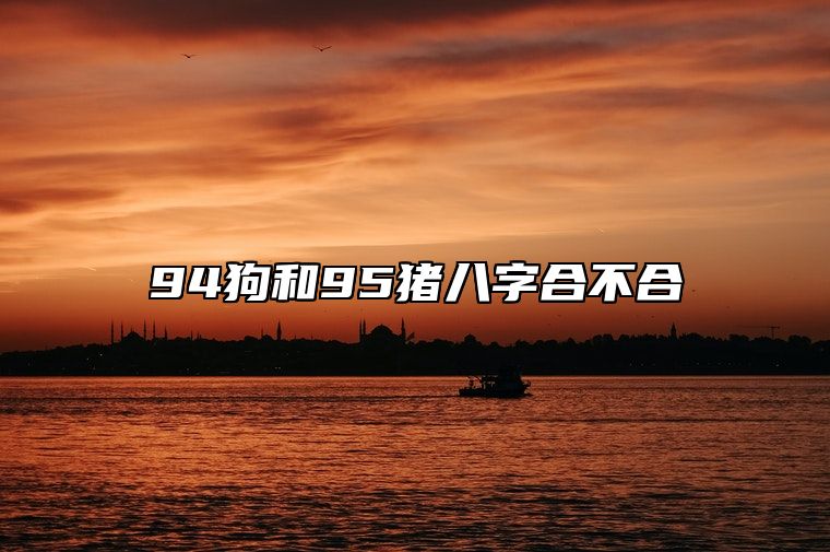 94狗和95猪八字合不合？龙年结婚好不好