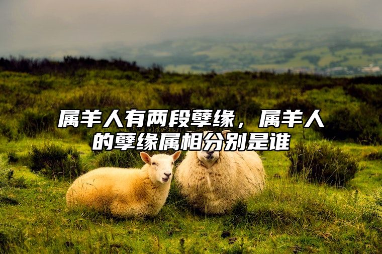 属羊人有两段孽缘，属羊人的孽缘属相分别是谁 属羊注定的姻缘是