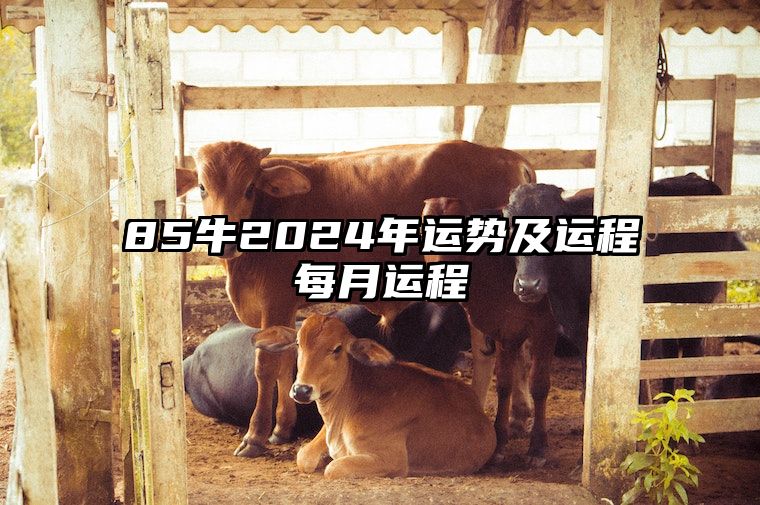 85牛2024年运势及运程每月运程 