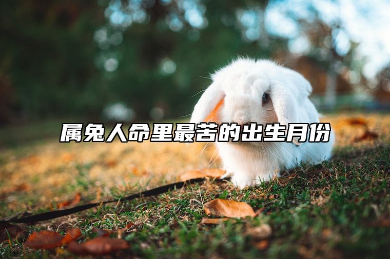 属兔人命里最苦的出生月份 属兔命好和命苦出生月份