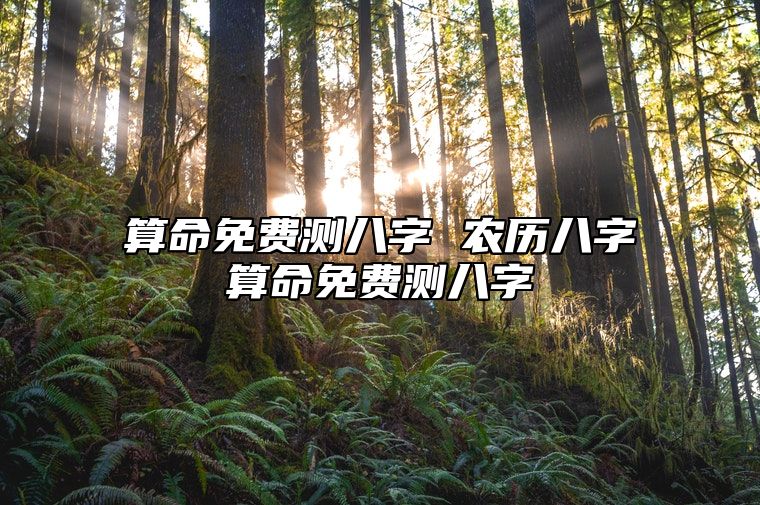 算命免费测八字 农历八字算命免费测八字