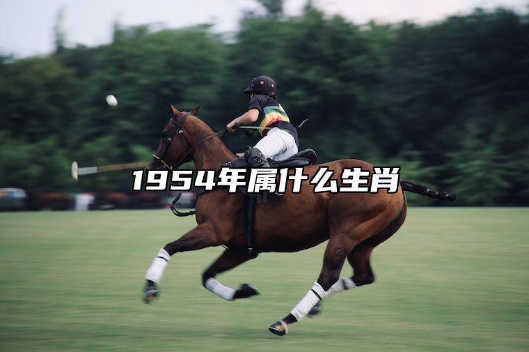 1954年属什么生肖 1954年属马人是什么命