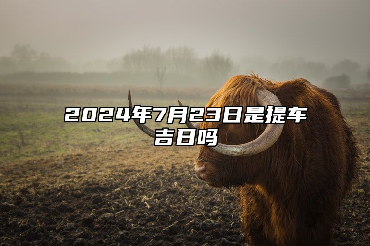 2024年7月23日是提车吉日吗 今日适合吗