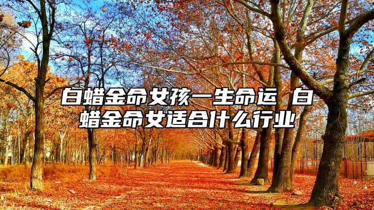 白蜡金命女孩一生命运 白蜡金命女适合什么行业