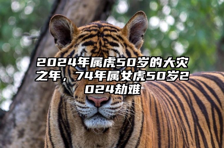 2024年属虎50岁的大灾之年，74年属女虎50岁2024劫难 74年属虎的2024年怎么样
