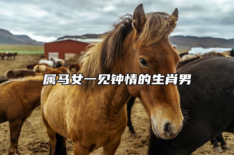 属马女一见钟情的生肖男 属马的相伴到老的生肖
